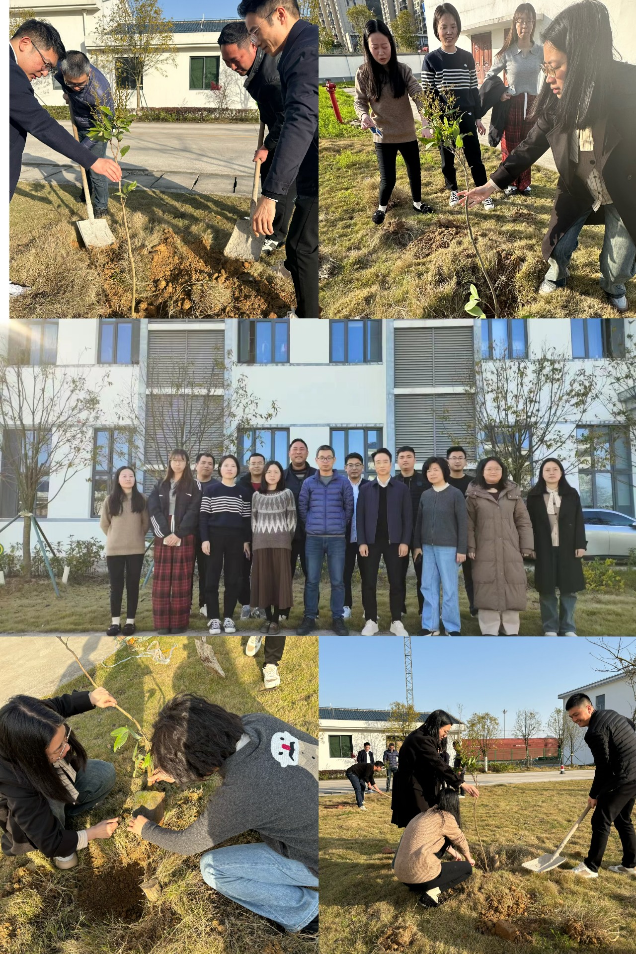 2024-3-12綠色陸港，美麗寧德，阮克妙拍攝.jpg